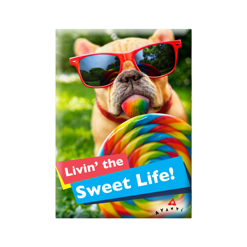 Sweet Life Magnet