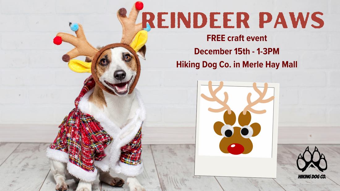 December 15 - Reindeer Paws Craft