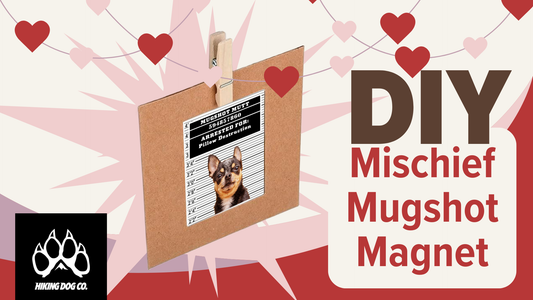 February 1 - DIY Mischief Mugshot Magnet