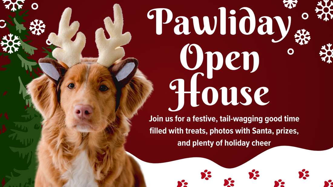 December 13 -  Pawliday Open House