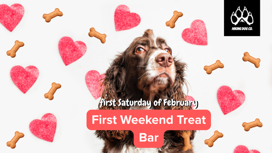 February 7 - First Weekend Treat Bar