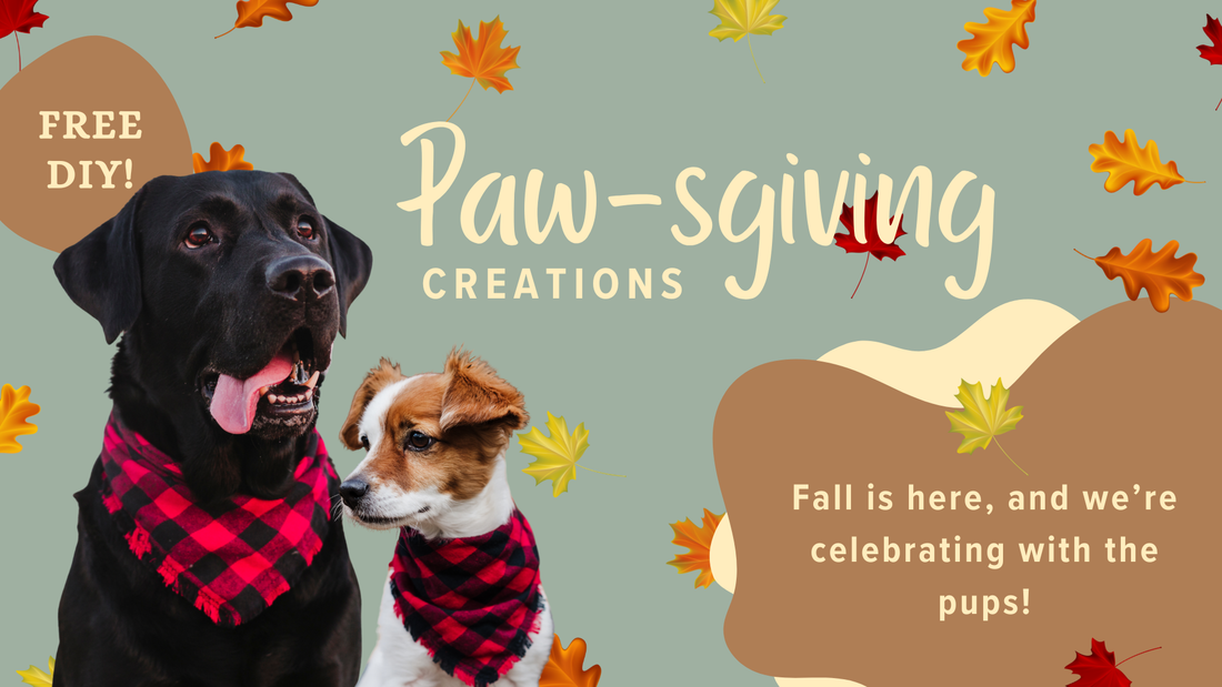 November 15 - Paws-giving Creations