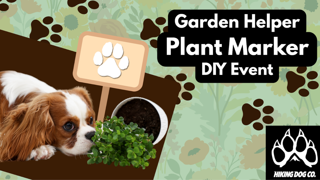 March 8 - Garden Helper Plant Marker DIY Event