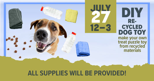 July 27 - DIY Recycled Dog Toy Workshop