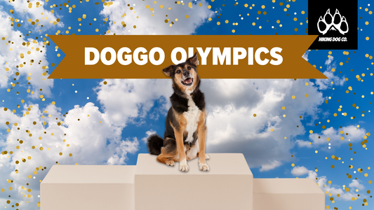 September 21 - Doggo Olympics Day