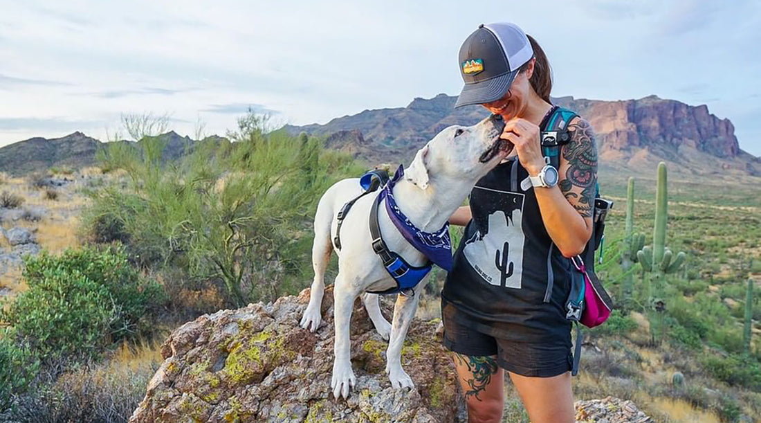 10 Safety Tips For Hiking With Your Dog