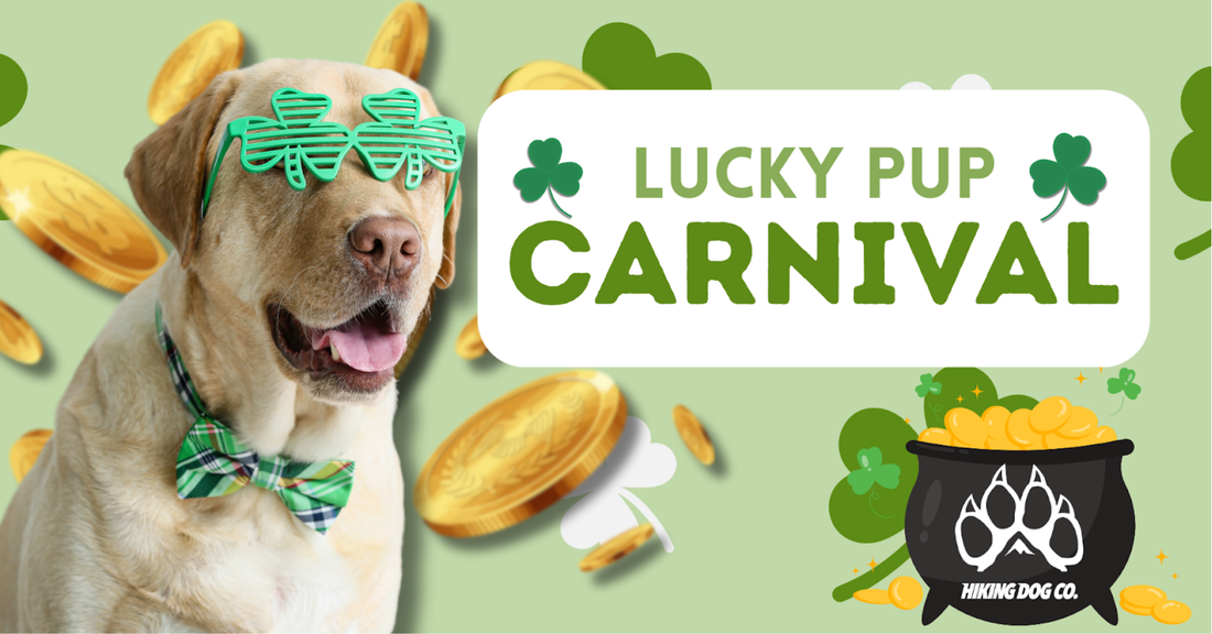 March 28 - Lucky Pup Carinval