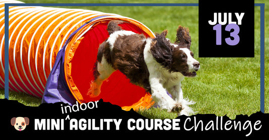 July 13 -  Mini Agility Course Challenge
