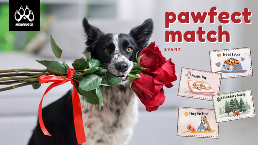 Pawfect Match Weekend