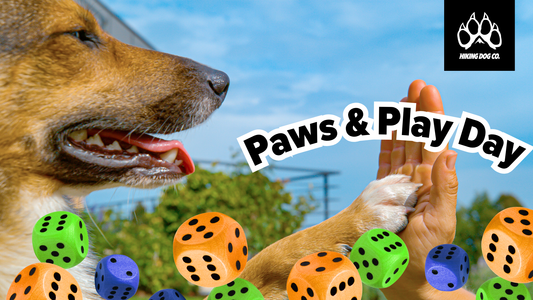 August 10 - Paws & Play Day