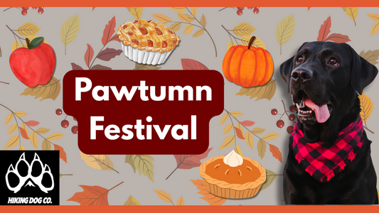 October 18 - Pawtumn Festival
