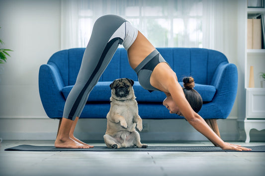 February Focus: Pup & Person Stretching!