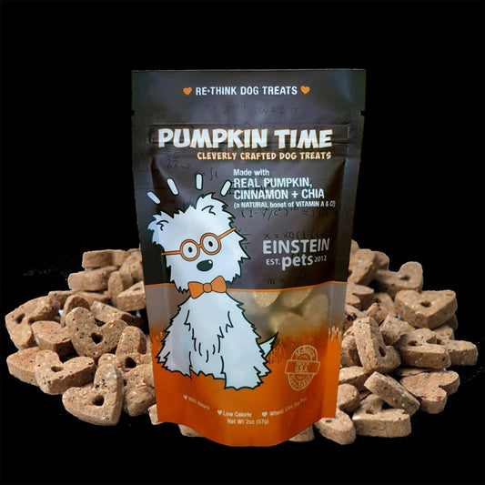 Einstein Pets Pumpkin Time - 2oz.