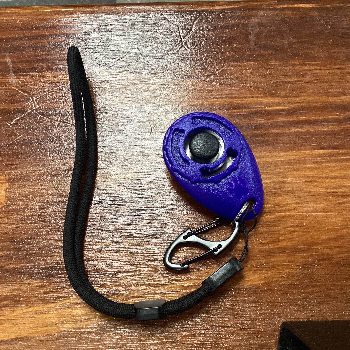 Training clicker & wrist strap