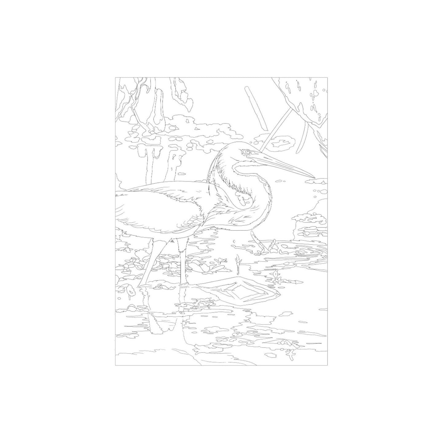 Coloring Book - National Parks