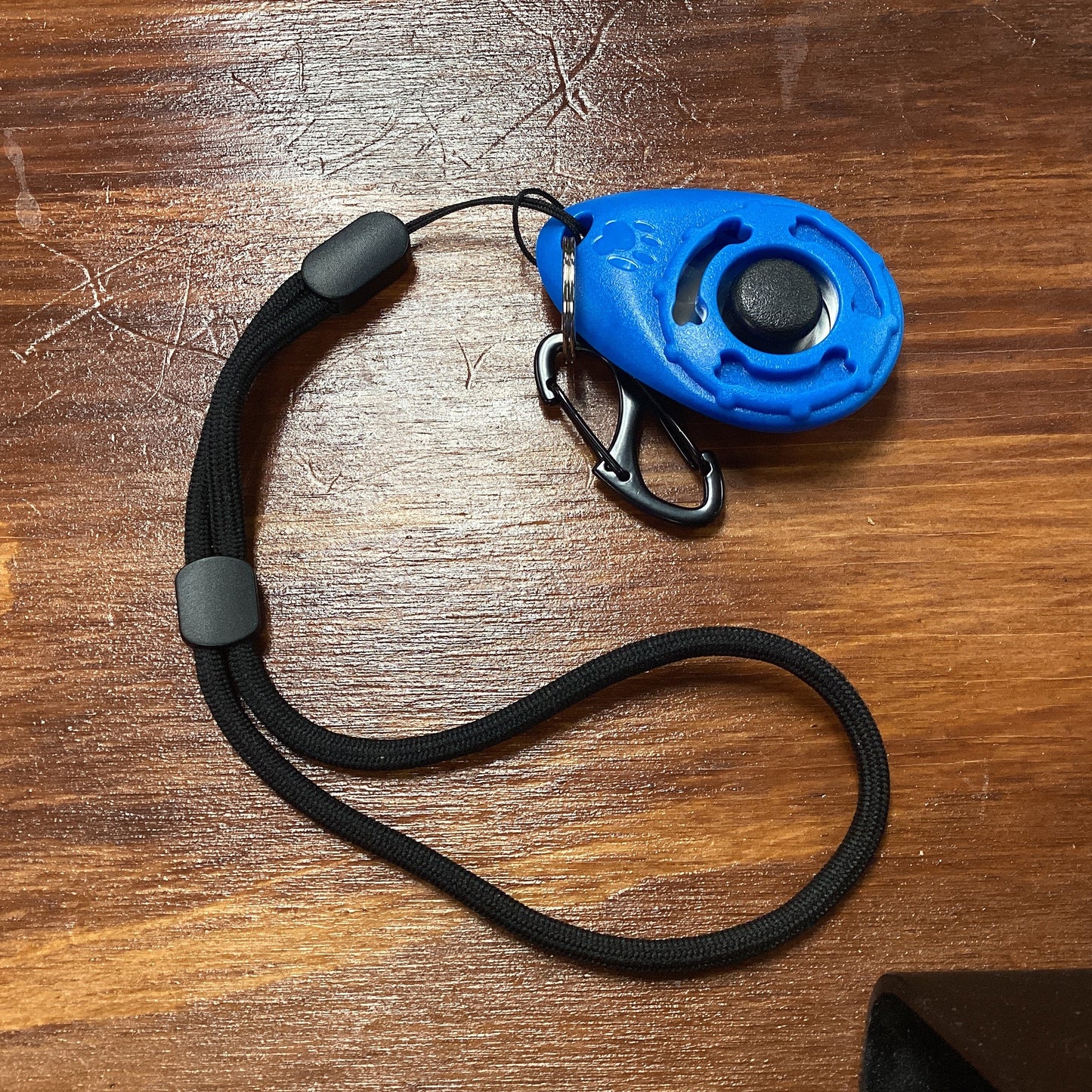 Training clicker & wrist strap