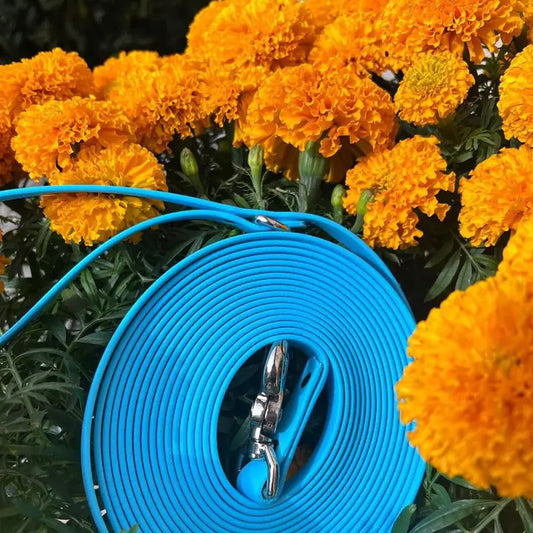 Classic Biothane Long Line Waterproof Dog Leash