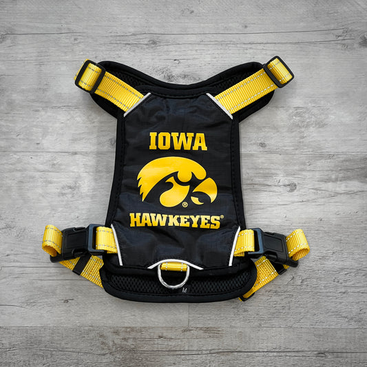 College Harness - Iowa by BAYDOG