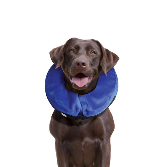 Kong® E-Collar Cloud® Large