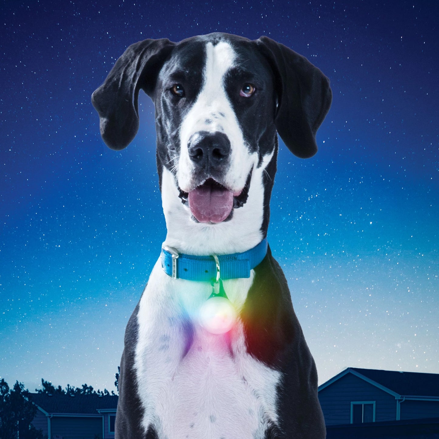 Nite Ize Spotlit Xl Rechargeable Collar Light-Disc-O Select