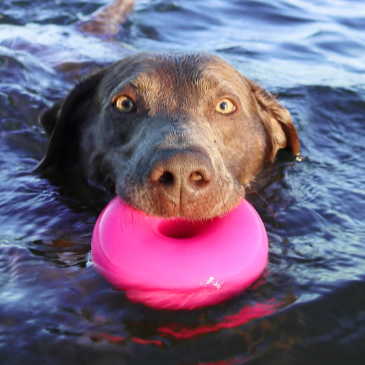 Ruff Dawg Dawg Nut XL Indestructible Toy