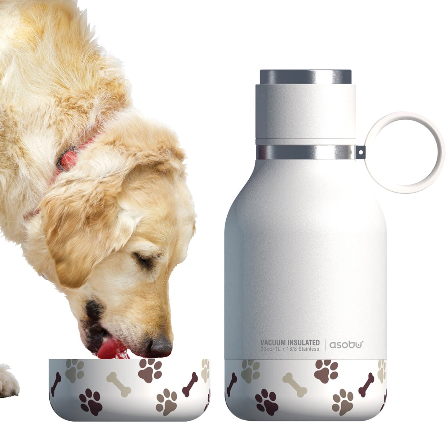 Asobu Dog Bowl Water Bottle Insulated