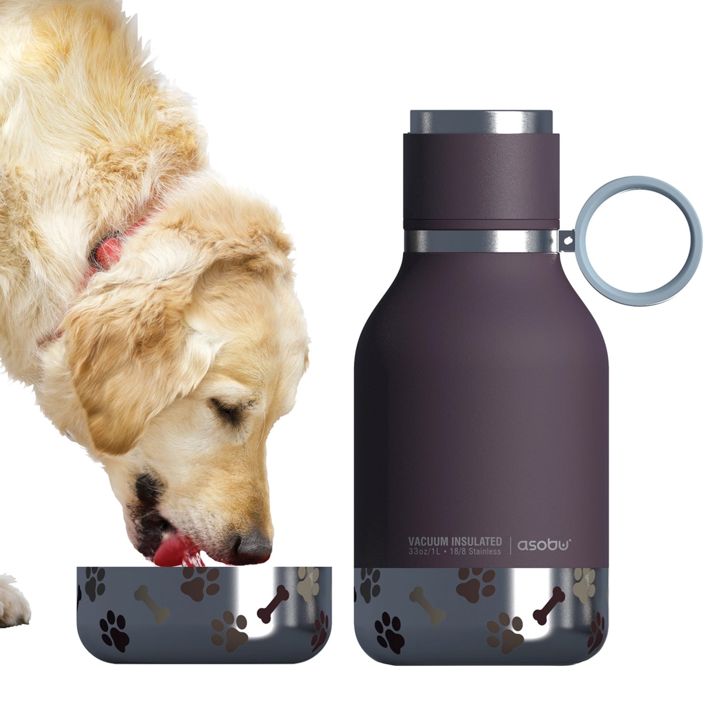 Asobu Dog Bowl Water Bottle Insulated
