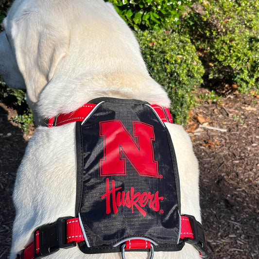 College Harness - Nebraska by BAYDOG