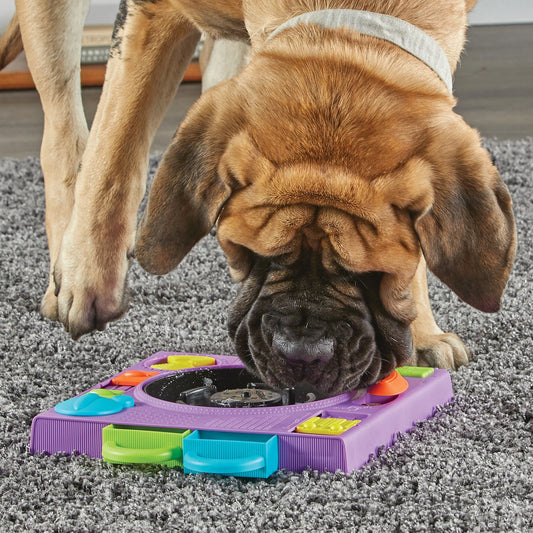 Brightkins™ DJ Turntable Puzzle Feeder