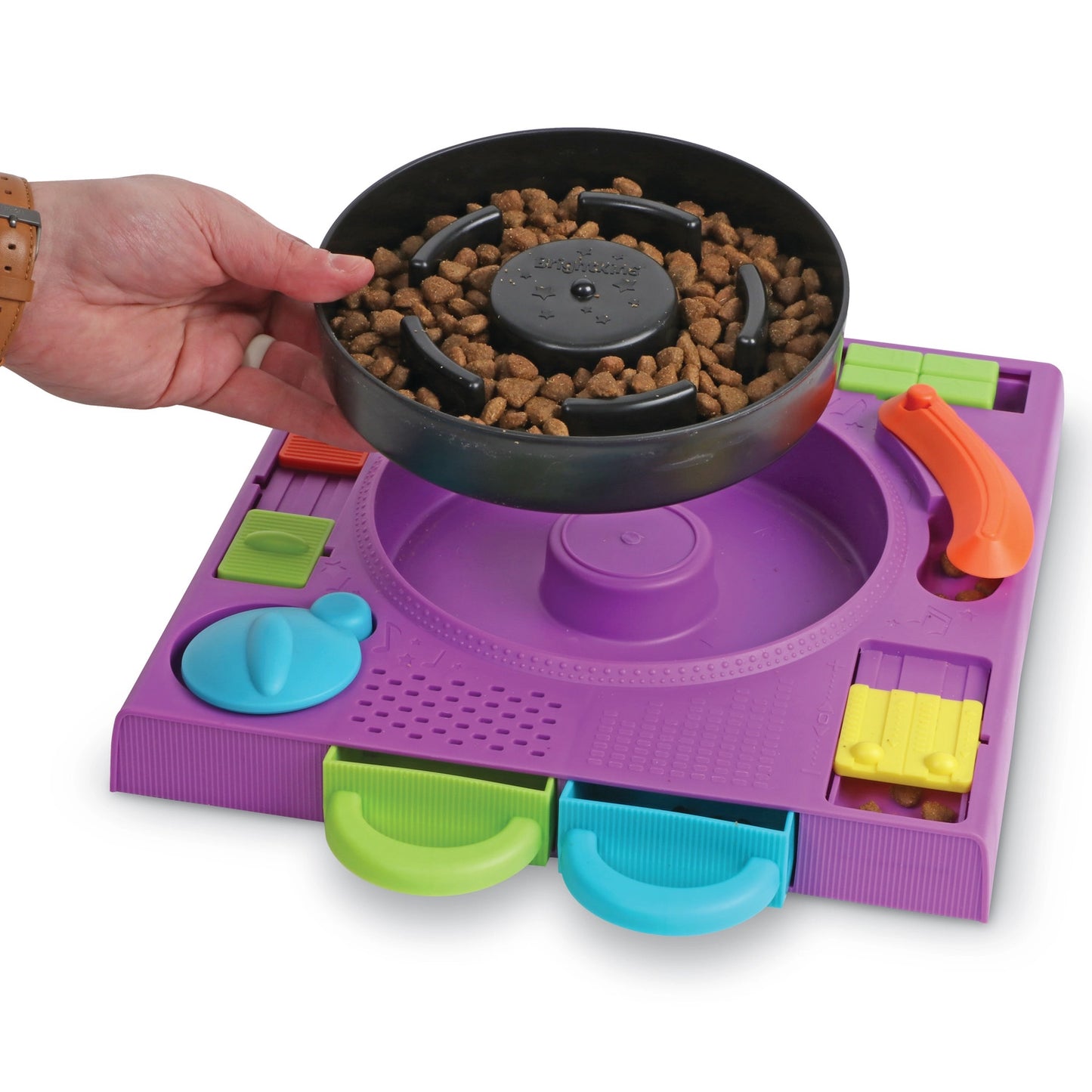Brightkins™ DJ Turntable Puzzle Feeder