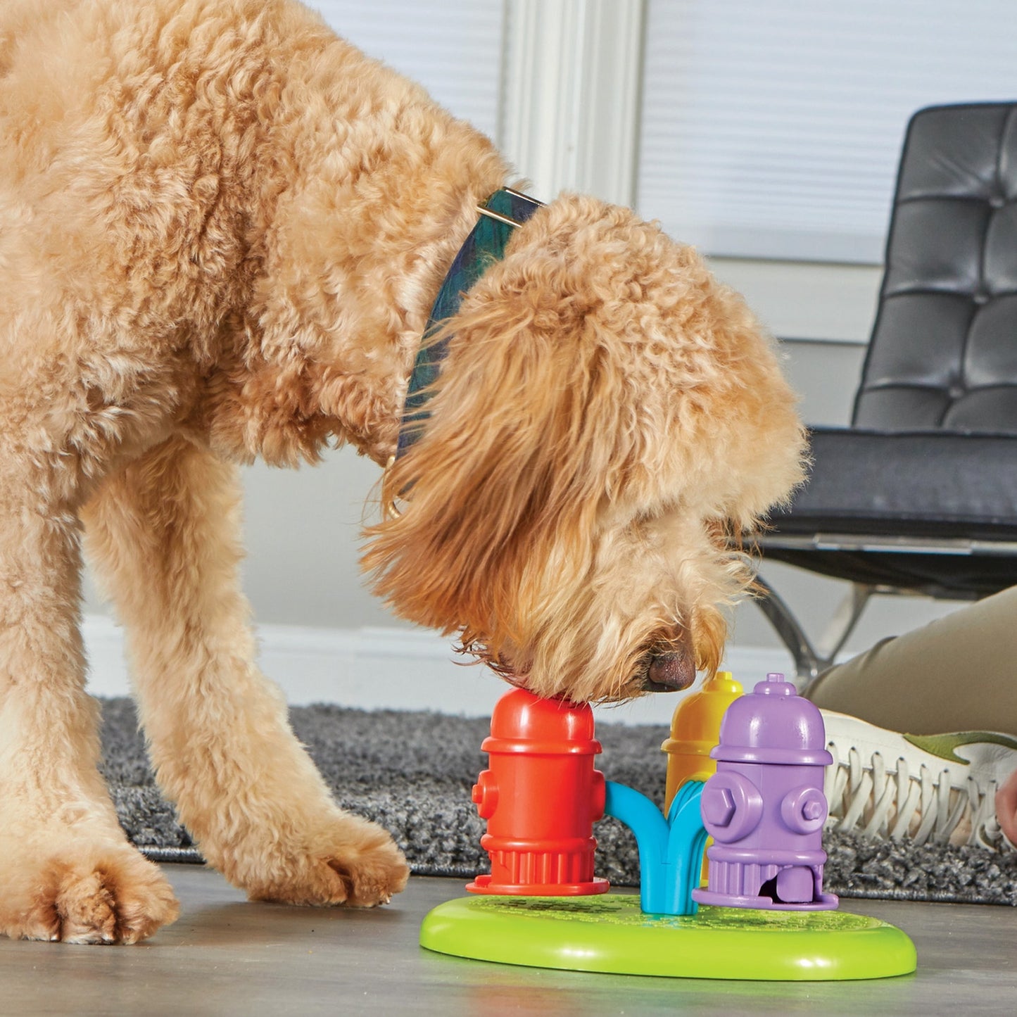 Brightkins™ Spinning Hydrants Feeder