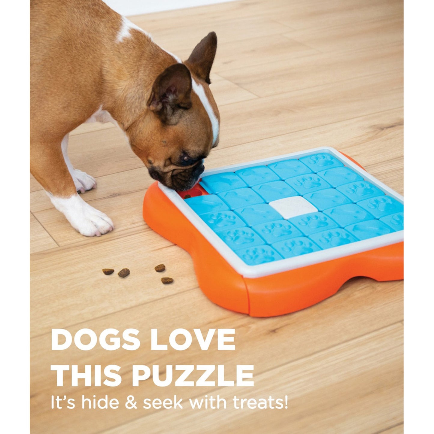 Nina Ottosson Challenge Slider Interactive Treat Puzzle Dog Toy