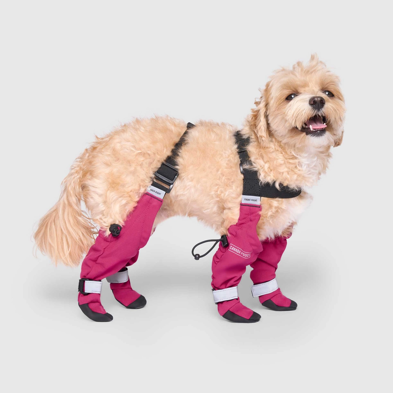 Canada Pooch Suspender Boots