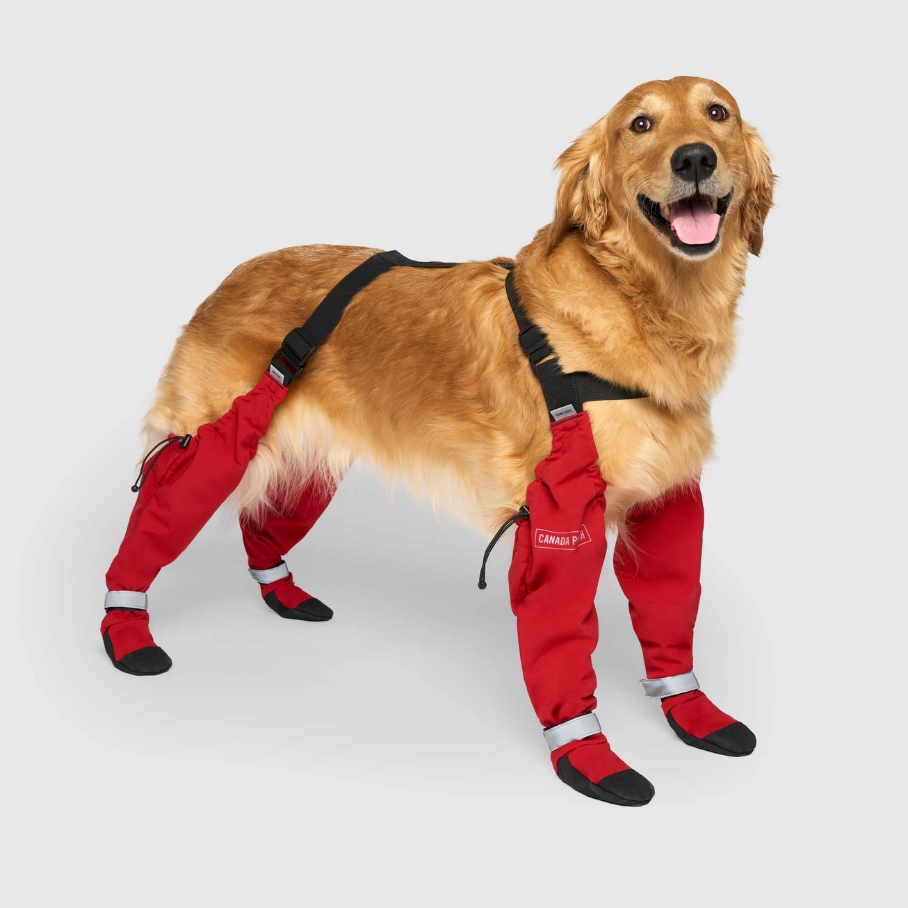 Canada Pooch Suspender Boots