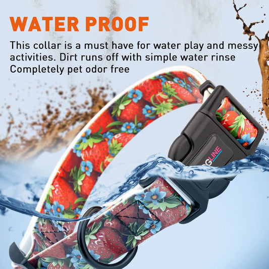 Printed Biothane Waterproof Dog Collar by Dogline