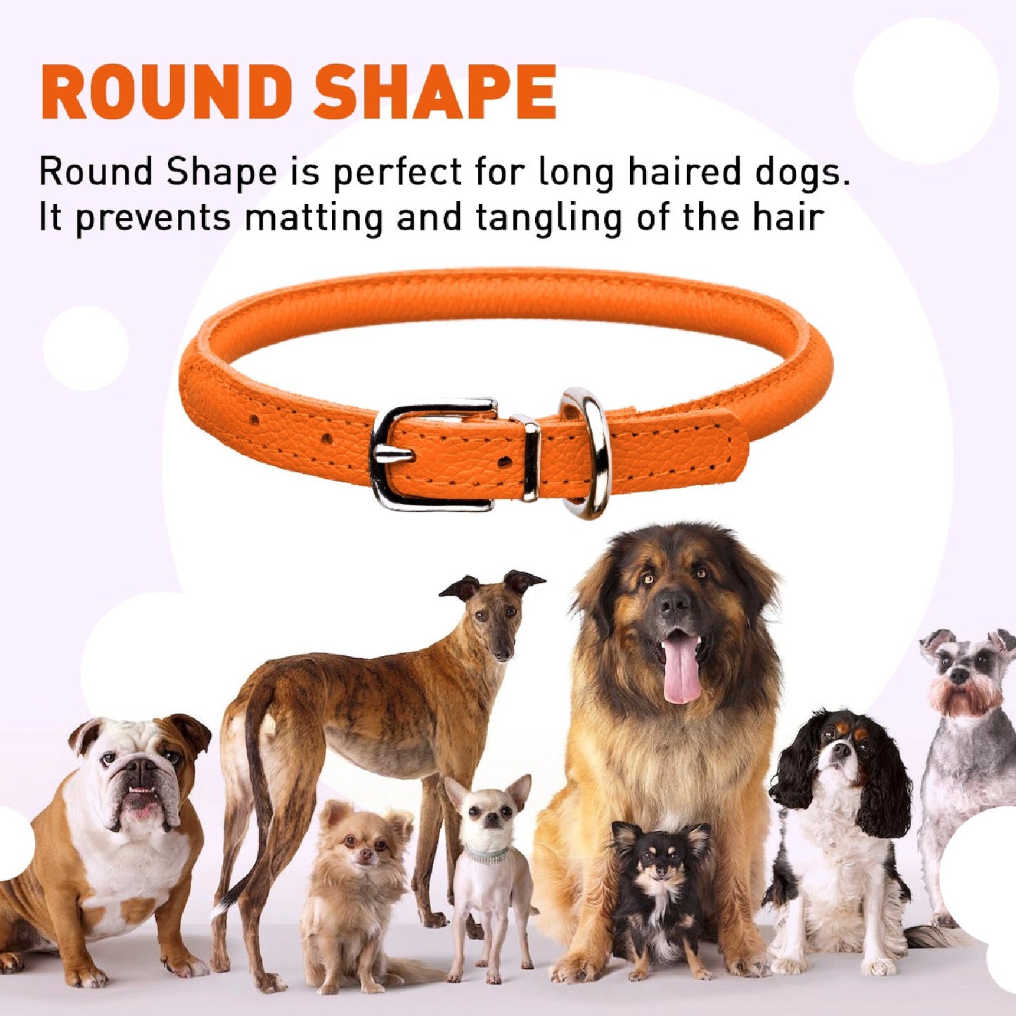 Round Leather Dog Collar by Dogline