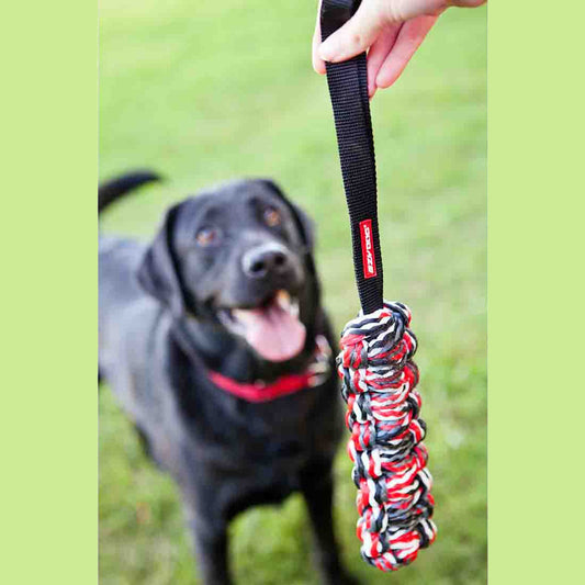 EzyDog Beaver Tail™