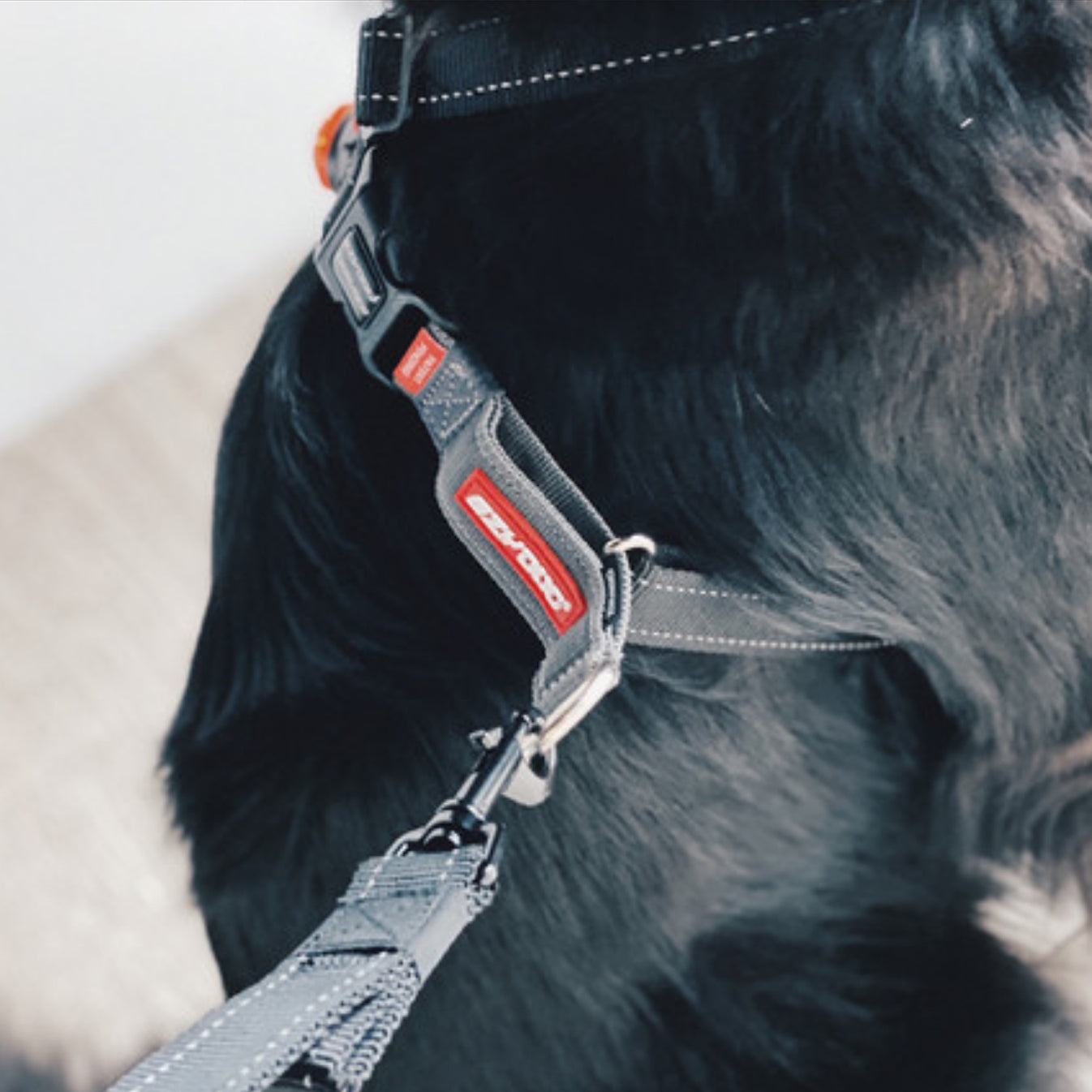 EzyDog Cross Check Training Harness Hiking Dog Co.