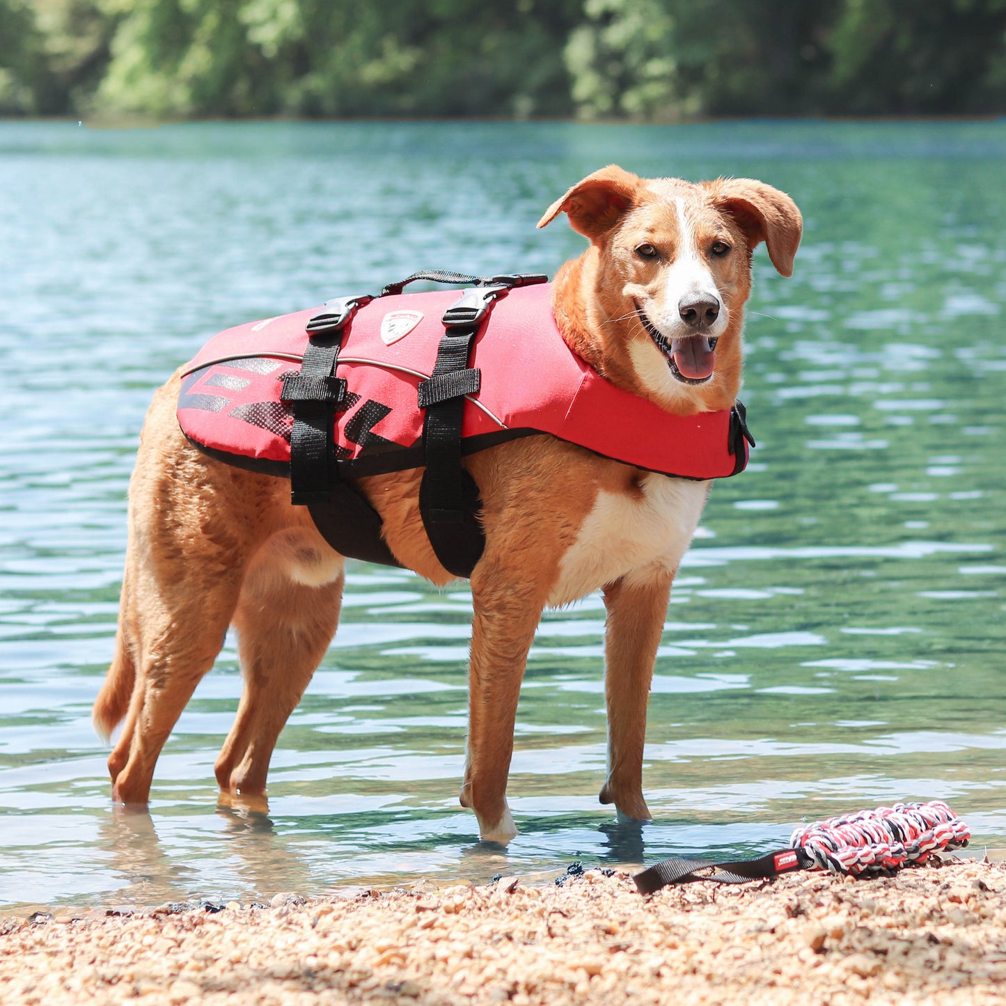 EzyDog Dog Flotation Device