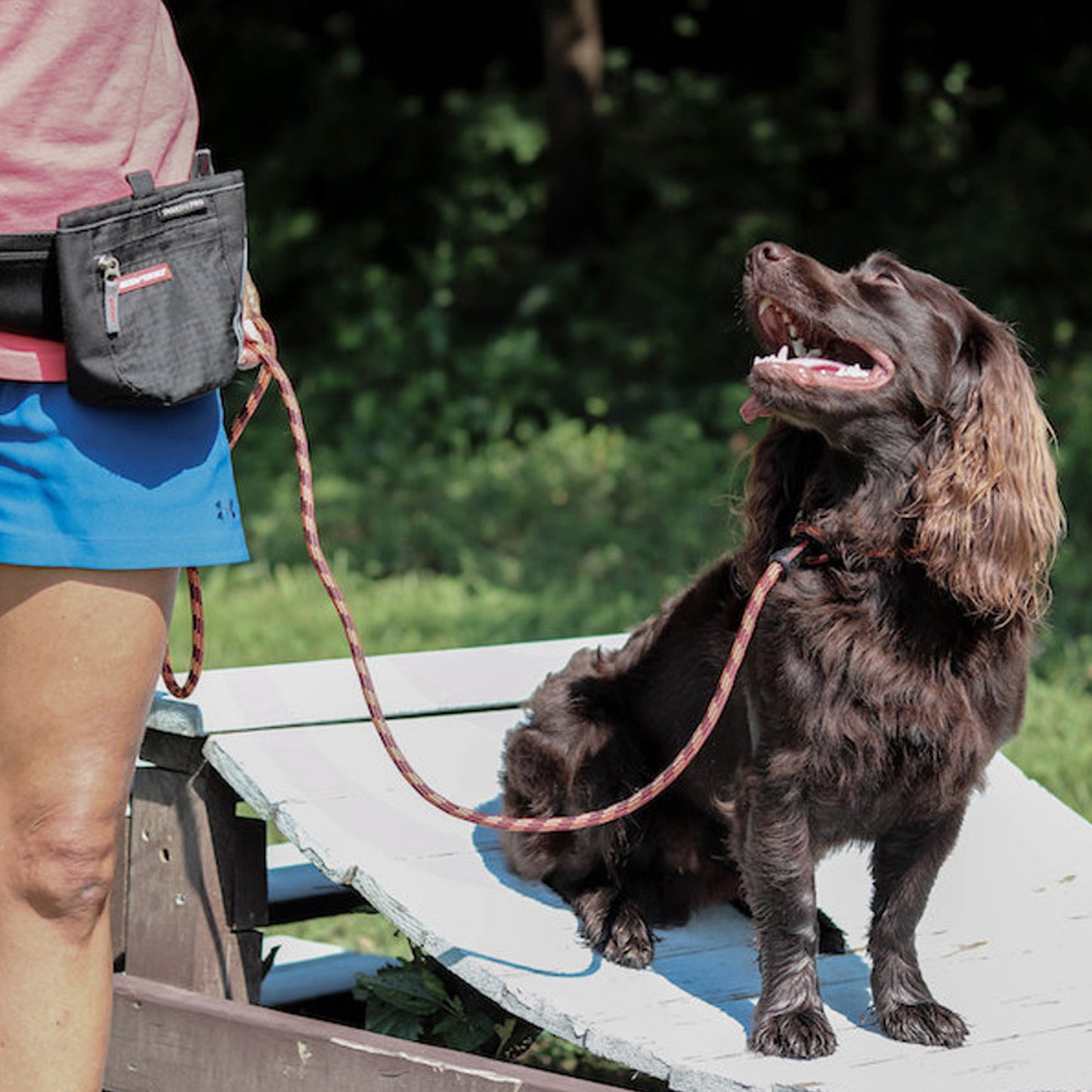 EzyDog Luca™ Leash