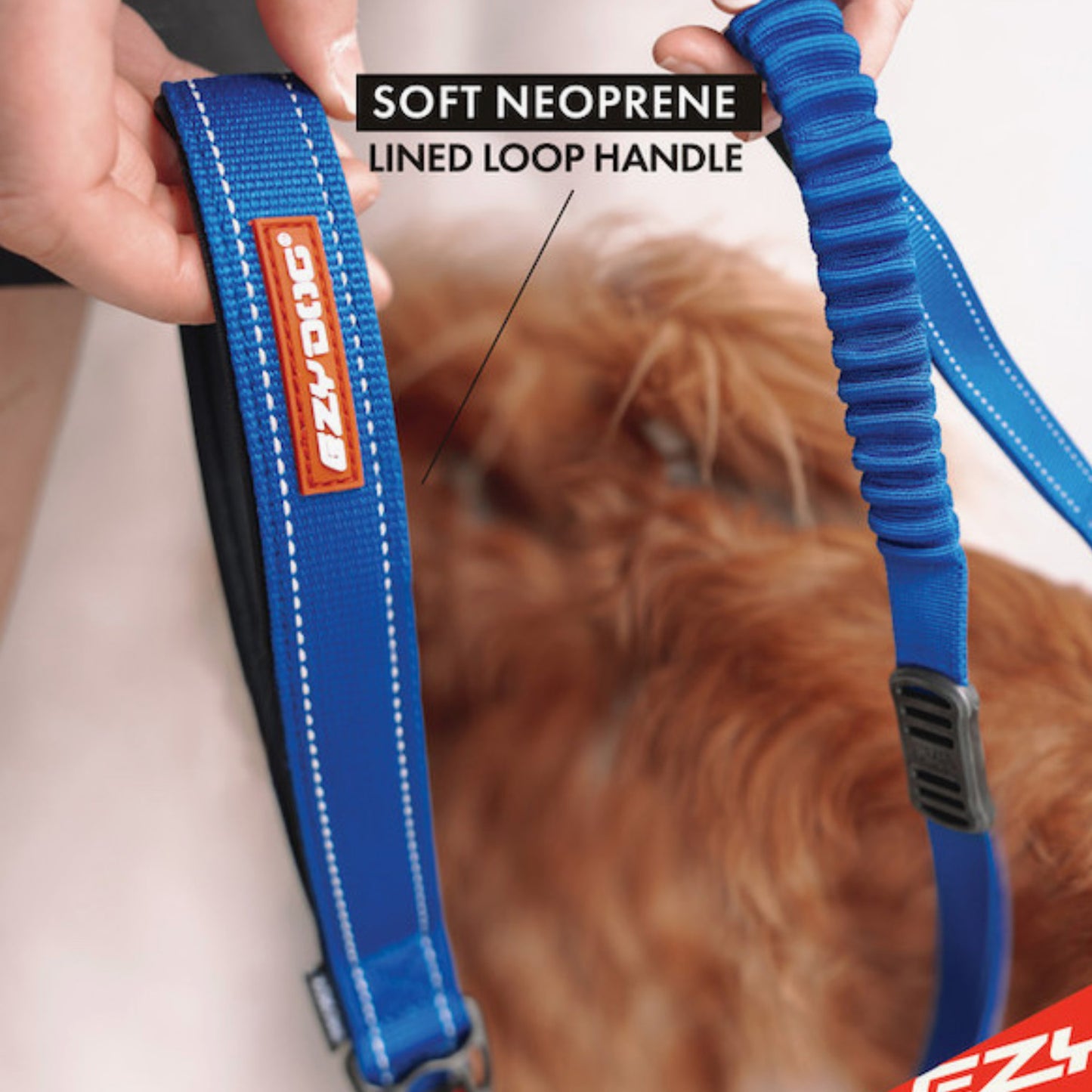 EzyDog Zero Shock Leash