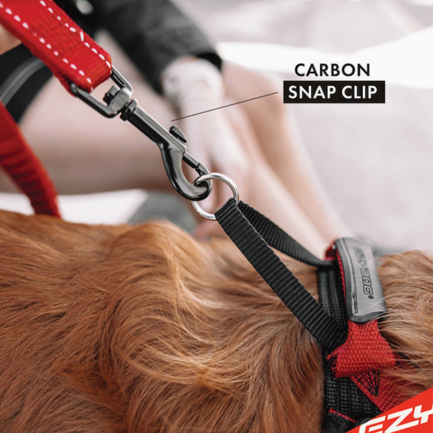 EzyDog Zero Shock Leash