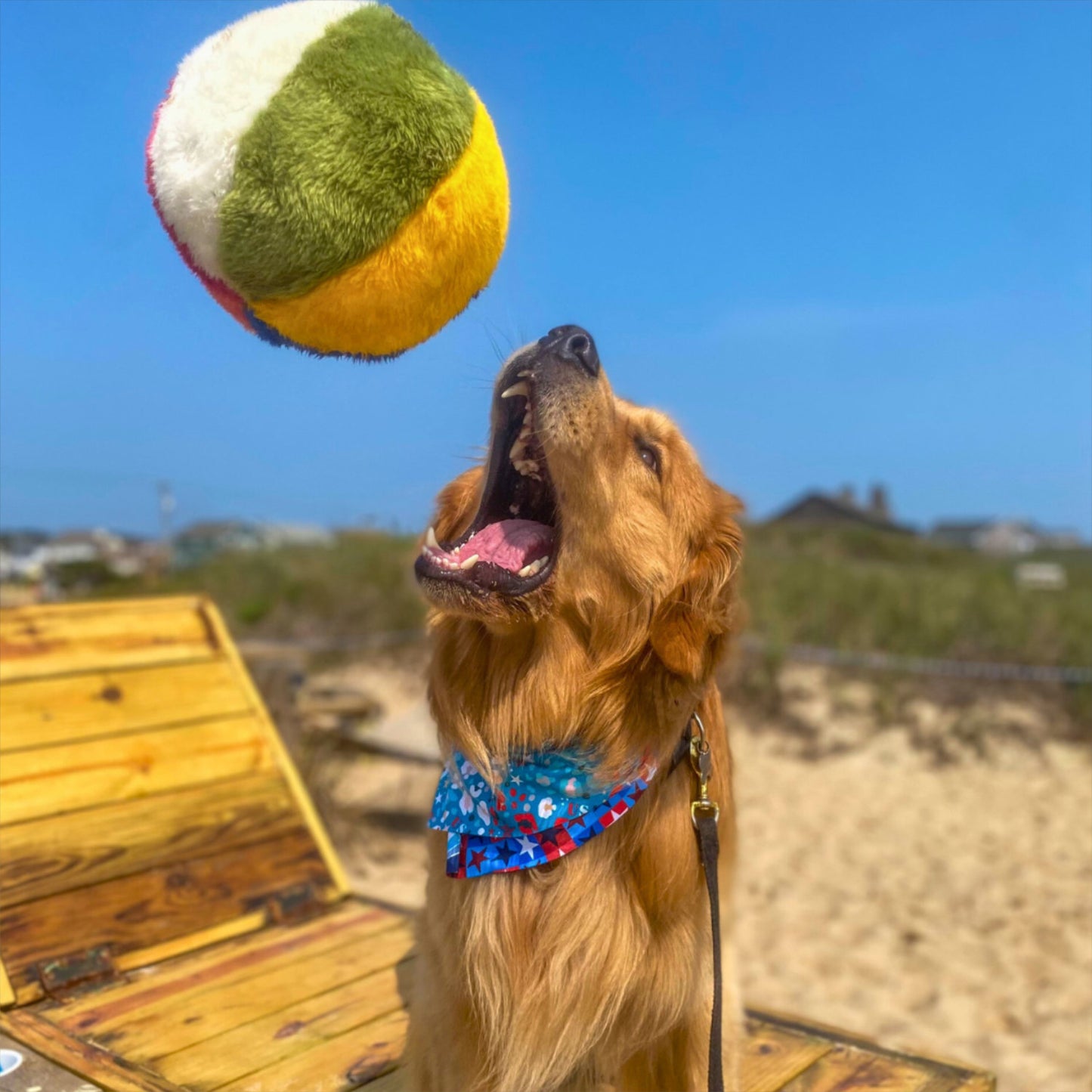 Fluff and Tuff Beach Ball