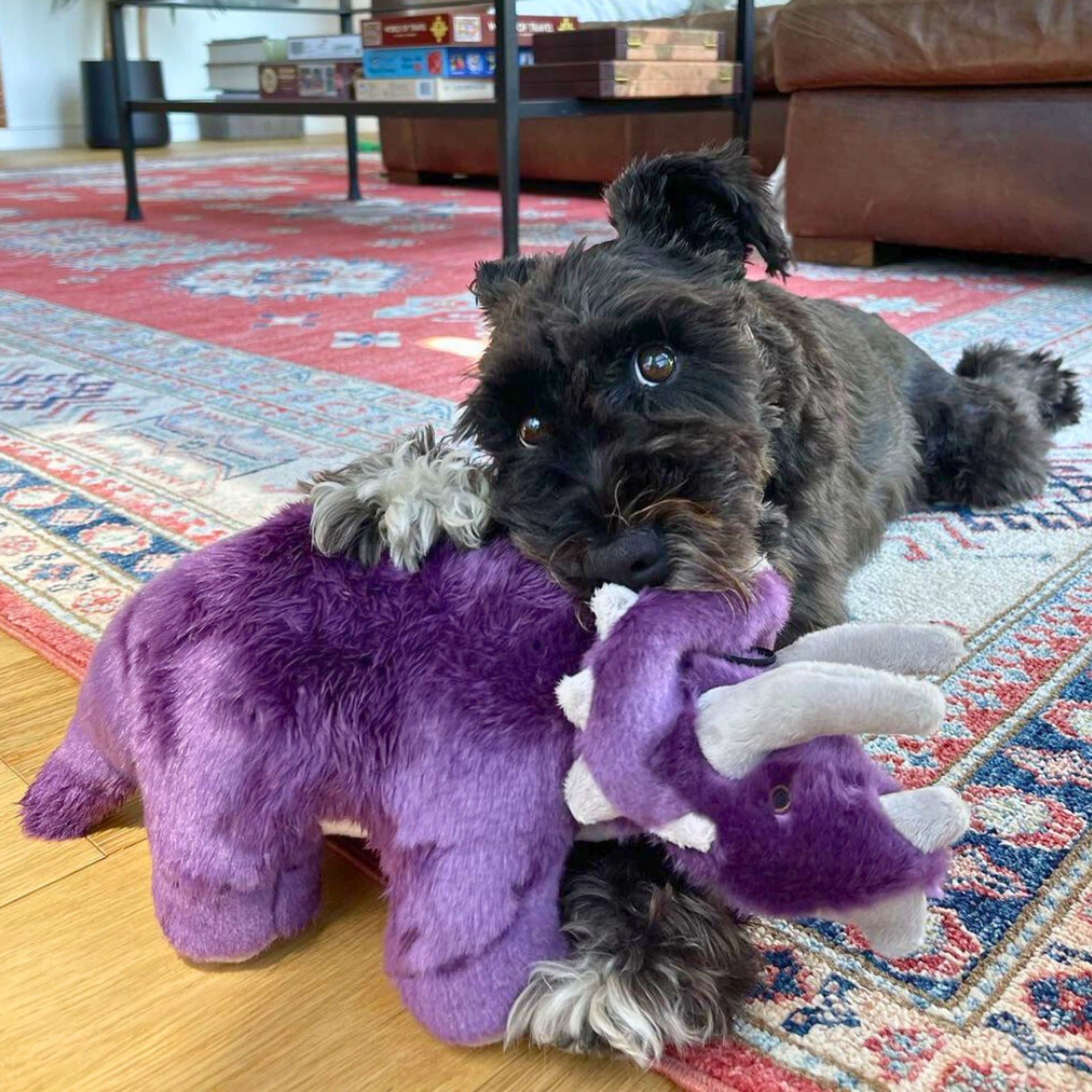 Fluff and Tuff Charlie Triceratops – Hiking Dog Co.