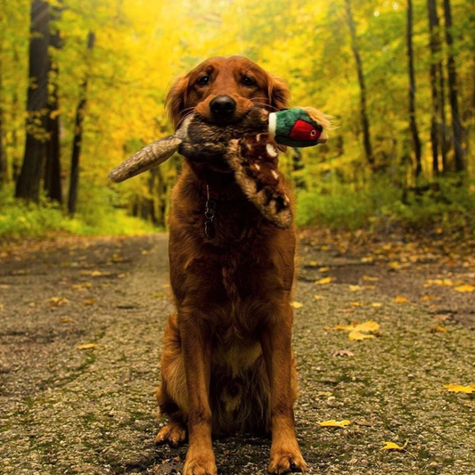 Fluff and Tuff Ike Pheasant