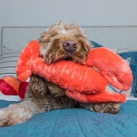 Fluff and Tuff Manny Lobster