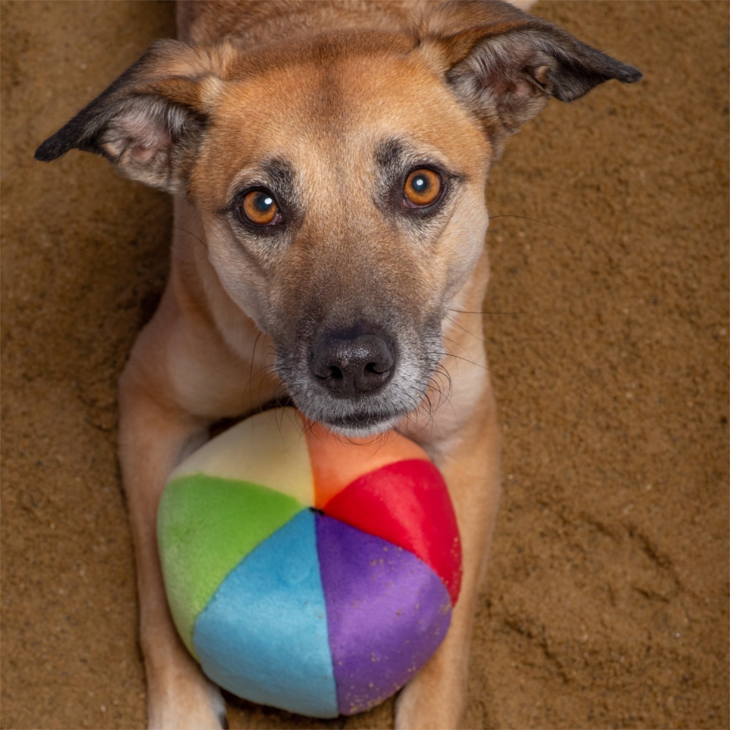 Fluff and Tuff Mini Beach Ball