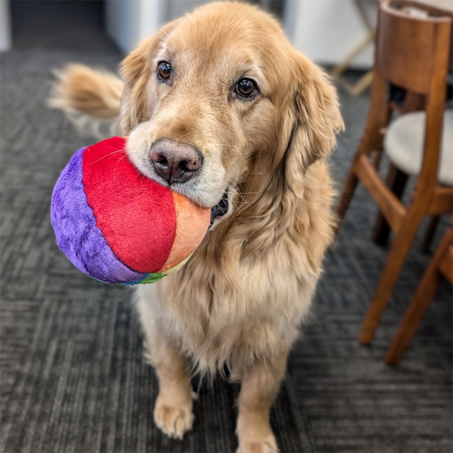 Fluff and Tuff Mini Beach Ball
