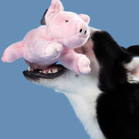 Fluff and Tuff  Petey Pig