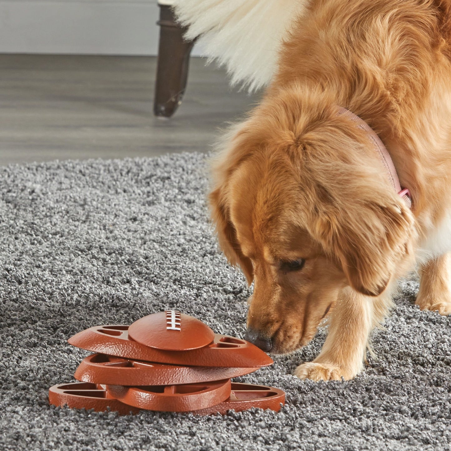 Brightkins™ Football Treat Puzzle